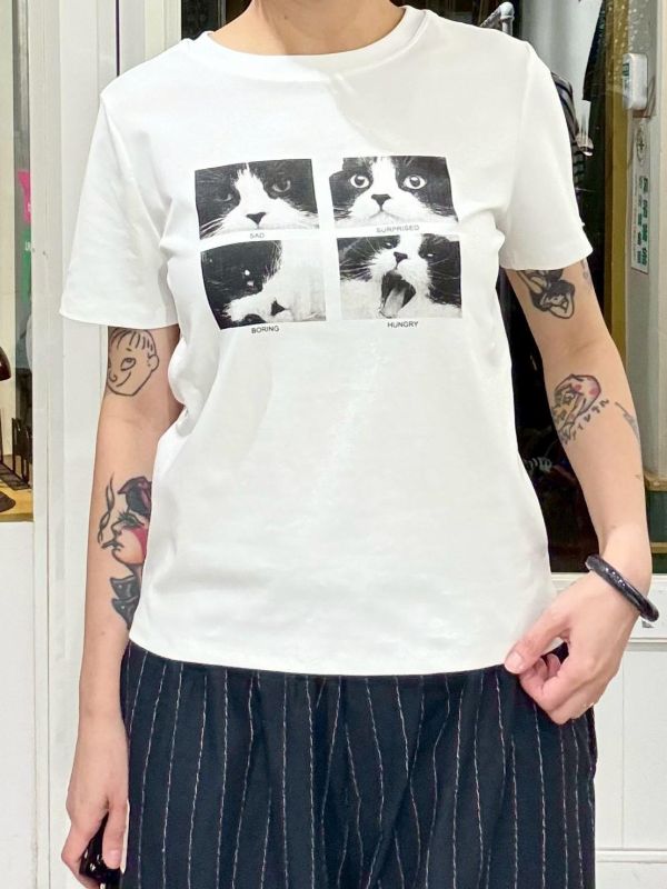 賓士貓四連拍tee 