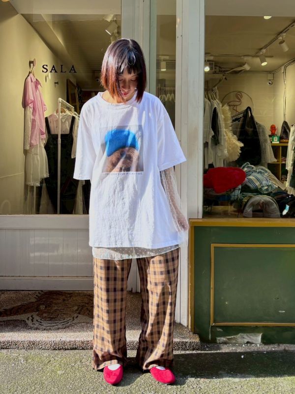 毛帽貴賓狗tee 