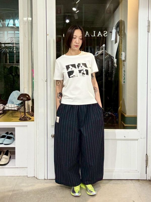 賓士貓四連拍tee 