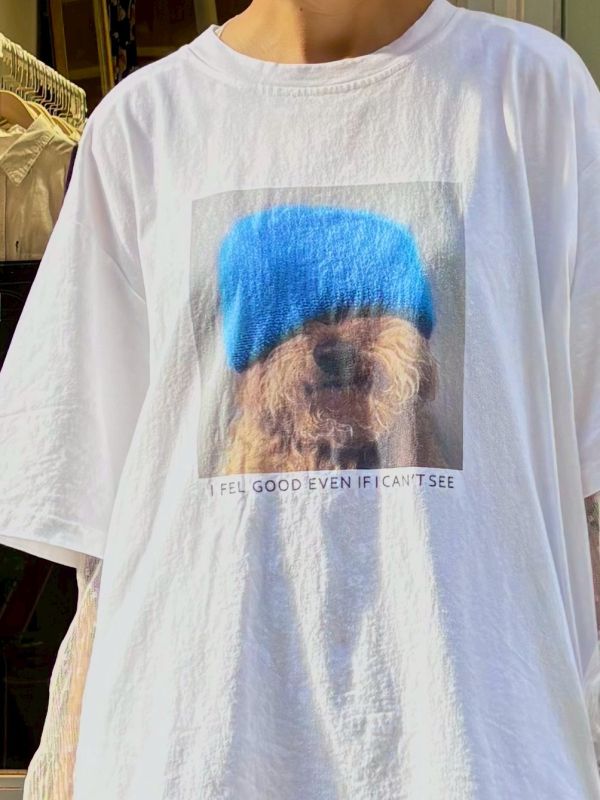 毛帽貴賓狗tee 