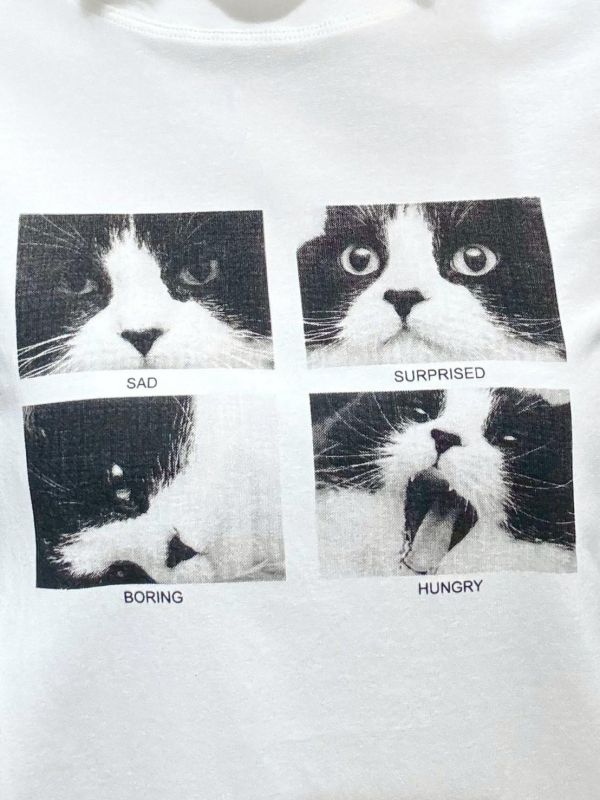 賓士貓四連拍tee 