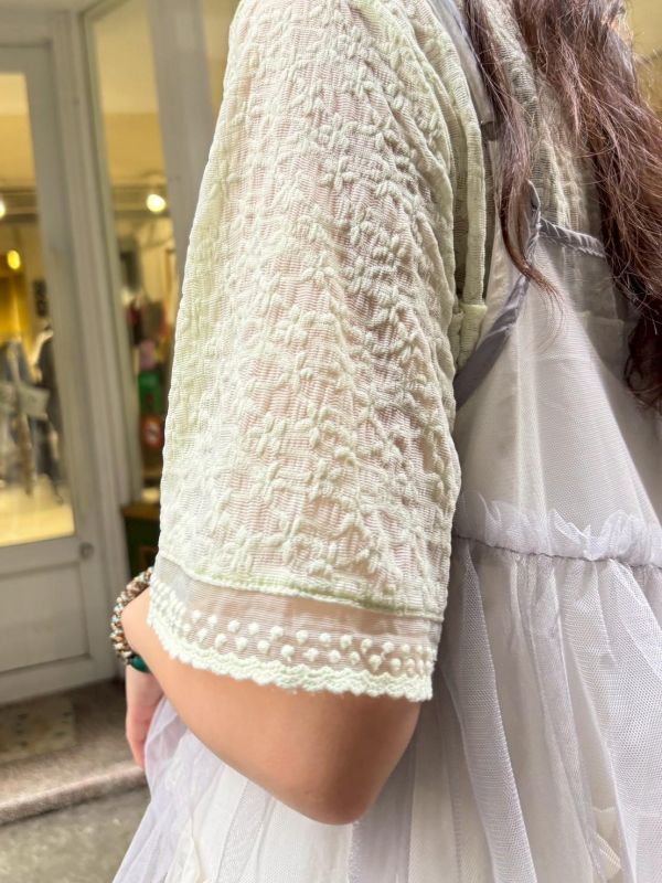 刺繡立體小花蕾絲透膚上衣 