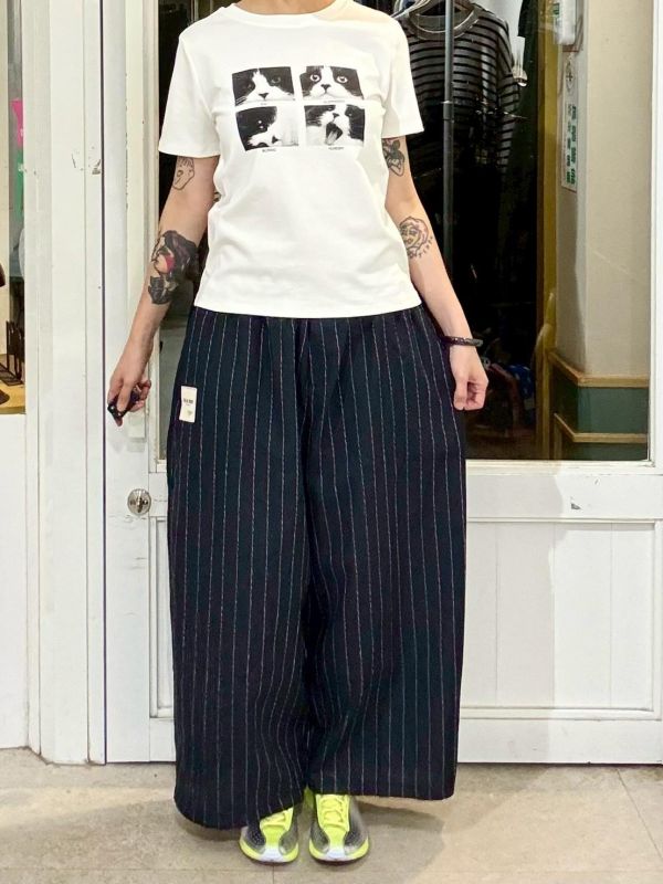 賓士貓四連拍tee 