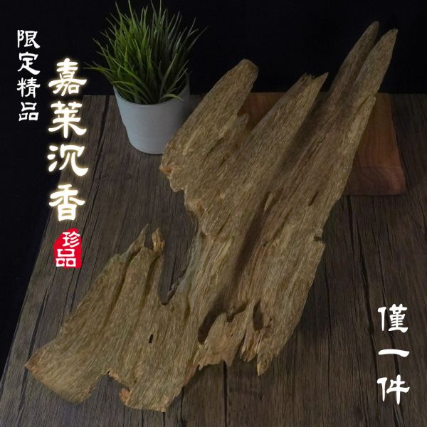 【精品】嘉萊沉香825.9g|香董親赴國外嚴選老沉香 沉香,沉香價格,沉香木,野生沉香,品香,薰香,嘉萊沉香,藝品,收藏品,擺件