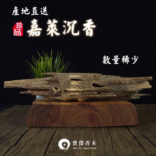 【精品】嘉萊沉香285.9g|香董親赴國外嚴選老沉香 沉香,沉香價格,沉香木,野生沉香,品香,薰香,嘉萊沉香,藝品,收藏品,擺件