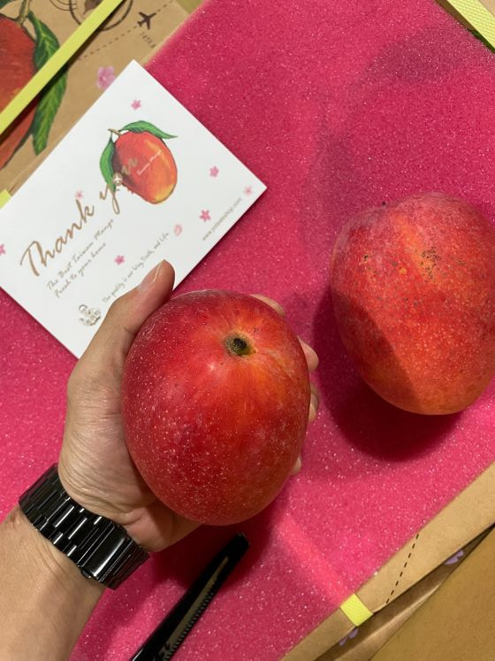 Yotaste Taiwan Irwin Mangoes meet the export quarantine regulations, and they are the best Taiwan fruit gift boxes for you!