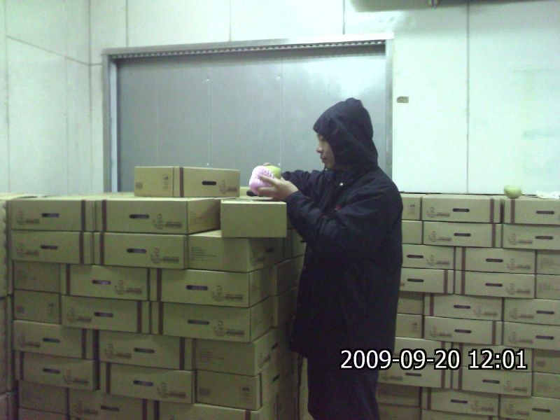 【2027預購】中秋麻豆老欉文旦禮盒宅配日本 / 新加坡 / 港澳 / 台灣 麻豆文旦寄日本,柚子寄日本,台灣水果國際宅配日本,中秋禮盒寄日本,送禮到日本,眼鏡伯文旦,柚子能寄日本嗎？如何寄文旦到日本？