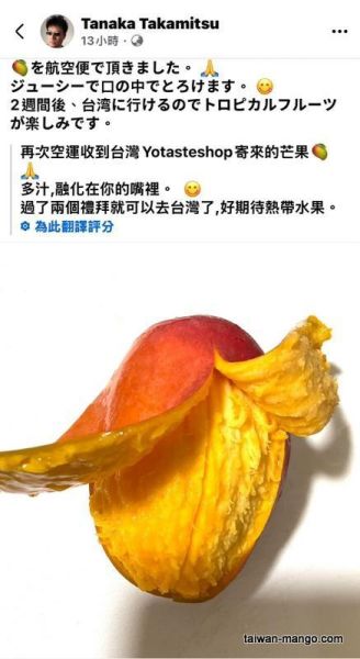 【2026預購】空運冷藏宅配日本愛文芒果禮盒 眼鏡伯芒果評價,送禮到日本,推薦日本禮物,日本喜愛的禮物,台灣水果寄日本,芒果寄日本,芒果送日本,sogo芒果,芒果空運直送日本,芒果國際宅配,マンゴー,台湾マンゴー,マンゴー日本へ送る
