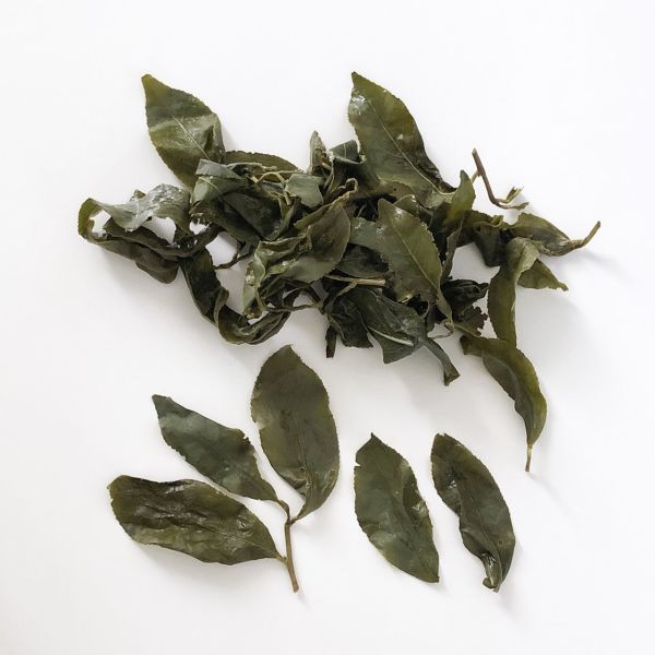 Alishan High Mountain Oolong Tea 阿里山高山茶 2024 春茶 Spring Tea (石棹 Shihjhuo / 青心烏龍 Chin-Shin Oolong) Chin-Shin Oolong, 青心烏龍, 台灣茶, Taiwan Tea, 高山茶, High Mountain Tea, 烏龍茶, Oolong Tea, Alishan, 阿里山, Shihjhuo, 石棹