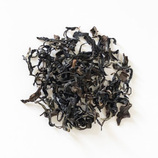 Honey Flavor Black Tea 坪林蜜香紅茶 2024 夏茶 Summer Tea Honey Flavor Black Tea, 蜜香紅茶, 台灣紅茶, Taiwan Black Tea, Red Tea