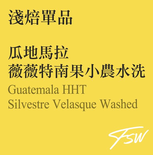 瓜地馬拉薇薇特南果小農水洗 