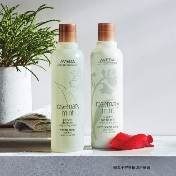 【AVEDA肯夢】迷迭薄荷洗髮精 1000ml 