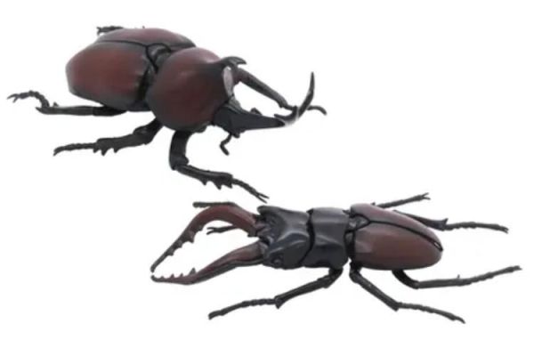 (預購) [再販] Fujimi 富士美 自由研究25 生物編 獨角仙 vs 鍬形蟲 對決套組 組裝模型 20260203 [再販] Fujimi 富士美 自由研究25 生物編 獨角仙 vs 鍬形蟲 對決套組 組裝模型