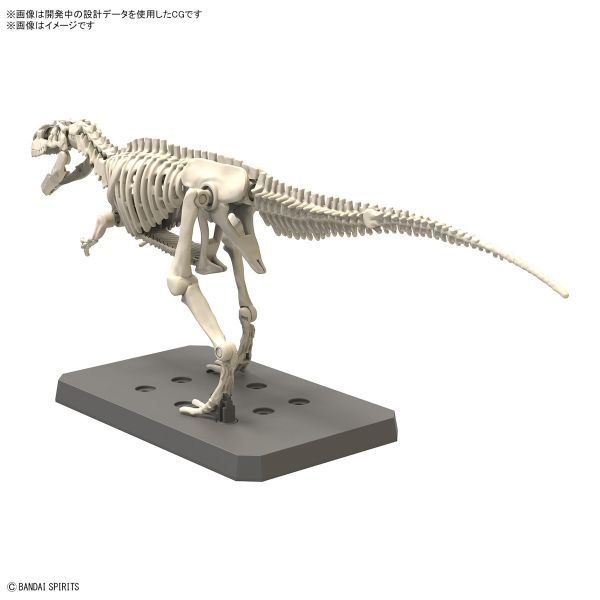 BANDAI 新恐龍組裝模型 07 南方巨獸龍 組裝模型 BANDAI 新恐龍 南方巨獸龍 組裝模型