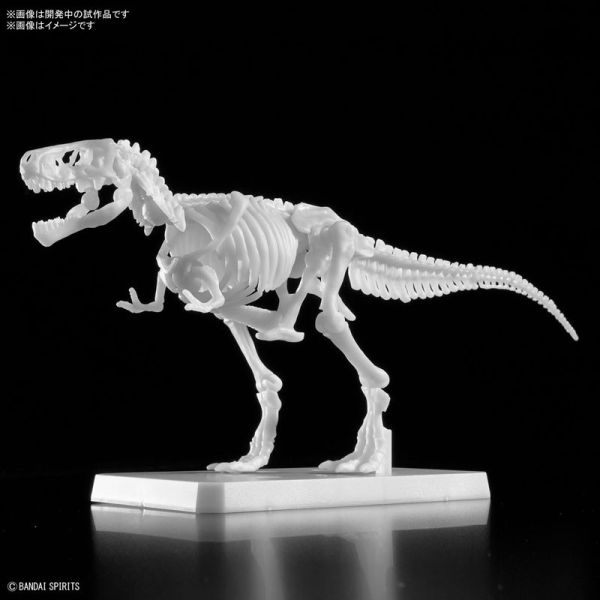 BANDAI 恐龍組裝模型 暴龍 自彩繪版 組裝模型 BANDAI 恐龍組裝模型 暴龍 自彩繪版 組裝模型