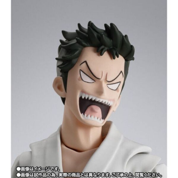 BANDAI S.H.Figuarts S.H.F MONSTERS 一百三情飛龍侍極 龍馬 可動完成品 BANDAI S.H.Figuarts S.H.F MONSTERS 一百三情飛龍侍極 龍馬 可動完成品