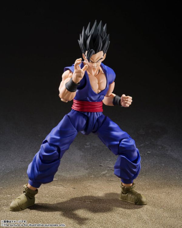 BANDAI S.H.Figuarts SHF 七龍珠 究極悟飯 SUPER HERO BANDAI S.H.Figuarts SHF 七龍珠 究極悟飯 SUPER HERO