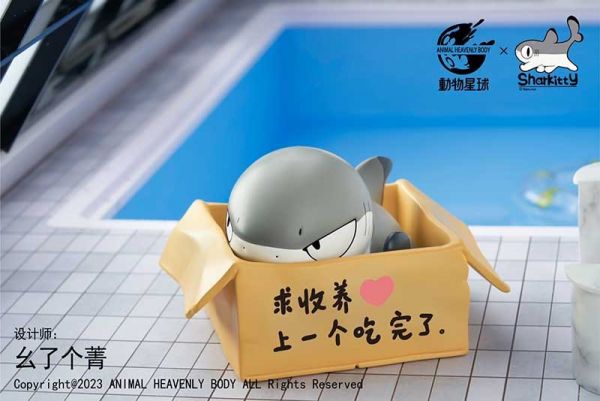 動物星球 鯊貓系列 靜態完成品 全3種 分別販售 動物星球 鯊貓系列 靜態完成品 全3種 分別販售