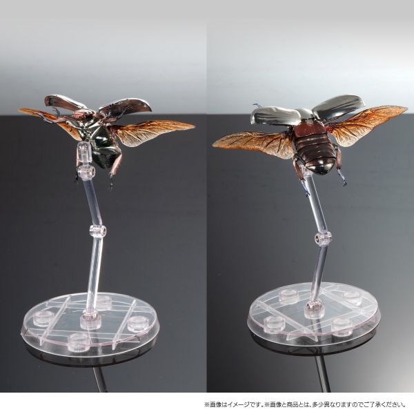 BANDAI 生物大圖鑑 展示套組 金龜子/彩虹鍬形蟲 全5種 一中盒販售 BANDAI 生物大圖鑑 展示套組 金龜子/彩虹鍬形蟲 全5種 一中盒販售