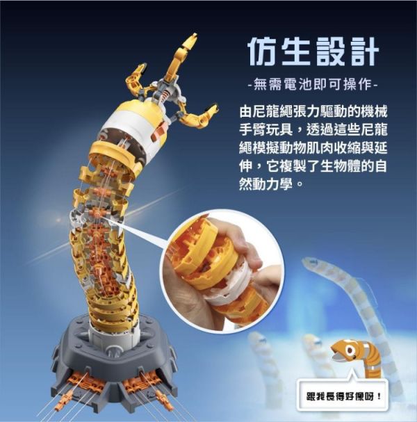 (預購) PROKITS 寶工 花園鰻-曼尼 Manny GE-731 20260107 PROKITS 寶工 花園鰻-曼尼 Manny GE-731