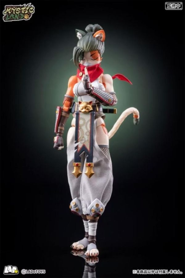 (預購) Ladotoys 1/12 冒險小隊 三花貓娘 托尼婭 (忍者樣式) 可動完成品 ERA-006 20260616 Ladotoys 1/12 冒險小隊 三花貓娘 托尼婭 (忍者樣式) 可動完成品 ERA-006