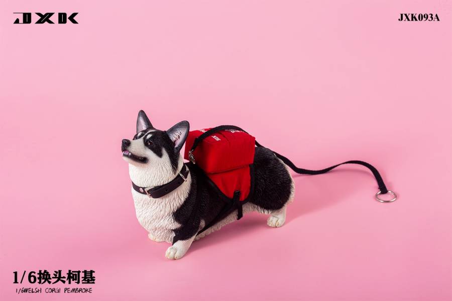 JXK 1/6 換頭柯基 動物系列 塗裝完成品 全3種 分別販售 JXK,1/6,換頭柯基,動物系列,塗裝完成品,全3種,分別販售,