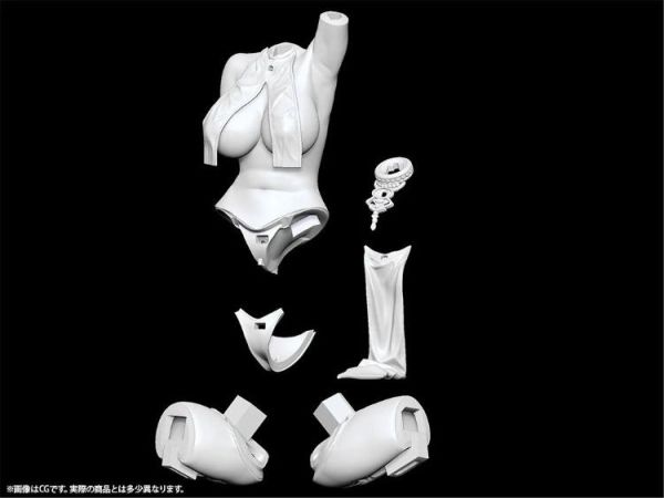 (預購) FOTS JAPAN PMMA1/6 褐色貓娘 茂 PVC未塗裝完成品 20260728 FOTS JAPAN PMMA1/6 褐色貓娘 茂 PVC未塗裝完成品