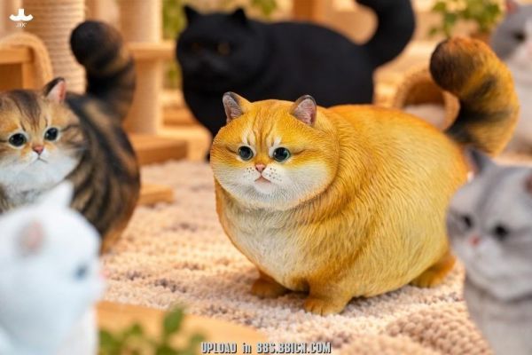 (預購) JXK Studio 動物公仔 胖團貓 JXK390A/JXK390C/JXK390D/JXK390E/JXK390F 分別販售 20261105 JXK Studio 動物公仔 胖團貓 JXK390A/JXK390C/JXK390D/JXK390E/JXK390F 分別販售