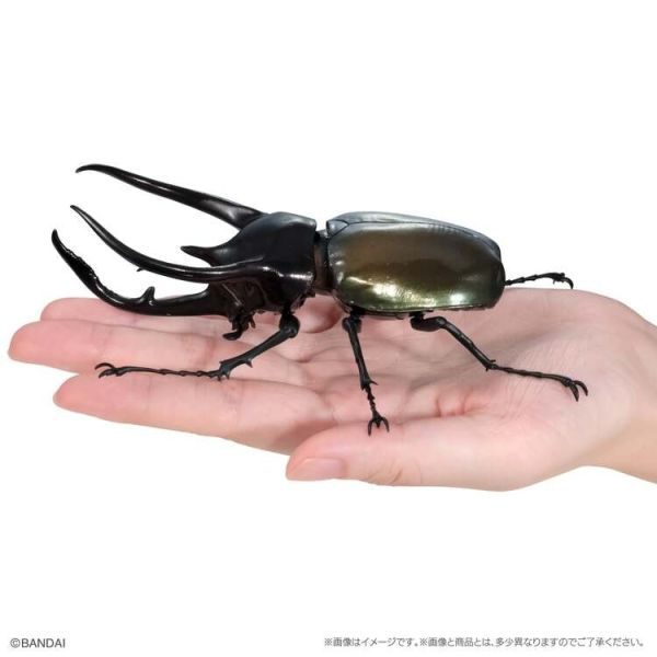 (預購) BANDAI 扭蛋 生物大圖鑑 獨角仙10 附樹皮底座(小) 全5種 一套5入販售 20251214 BANDAI 扭蛋 生物大圖鑑 獨角仙10 附樹皮底座(小) 全5種 一套5入販售