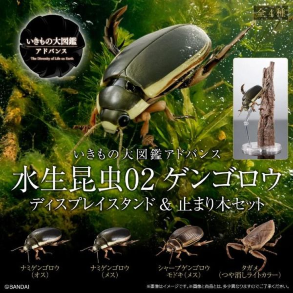 (預購) BANDAI 扭蛋 生物大圖鑑 水生昆蟲02 日本大龍蝨 套組 附展示支架組 20260511 BANDAI 扭蛋 生物大圖鑑 水生昆蟲02 日本大龍蝨 套組 附展示支架組