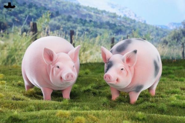 (預購) JXK Studio JXK343 動物公仔 圓滿豬 A 20260423 JXK Studio JXK343 動物公仔 圓滿豬 A