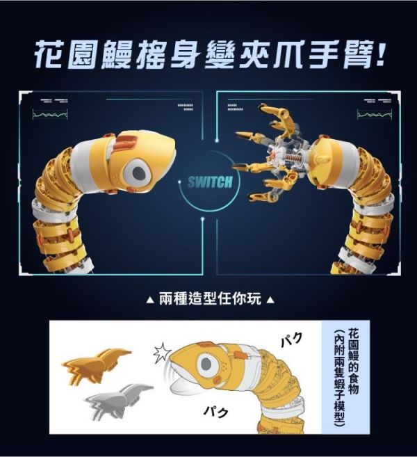 (預購) PROKITS 寶工 花園鰻-曼尼 Manny GE-731 20260107 PROKITS 寶工 花園鰻-曼尼 Manny GE-731