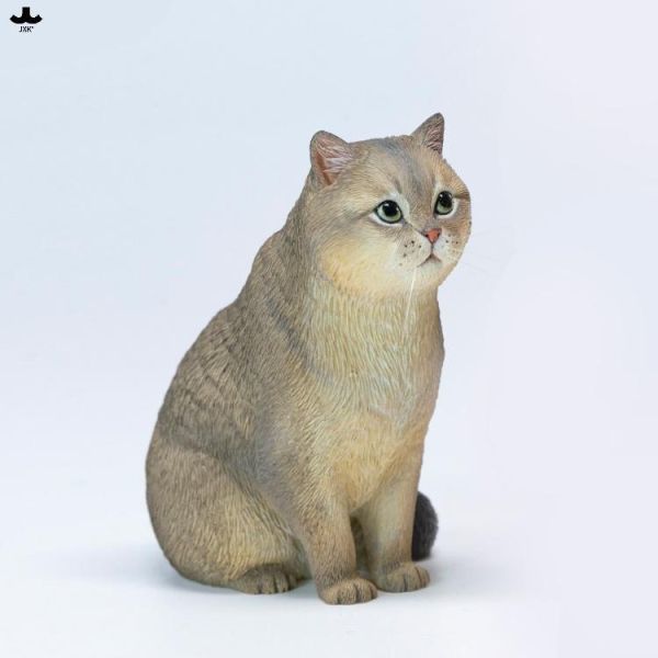 (預購) JXK Studio 動物公仔 英國短毛貓 C JXK382C 20260811 JXK Studio 動物公仔 英國短毛貓 C JXK382C