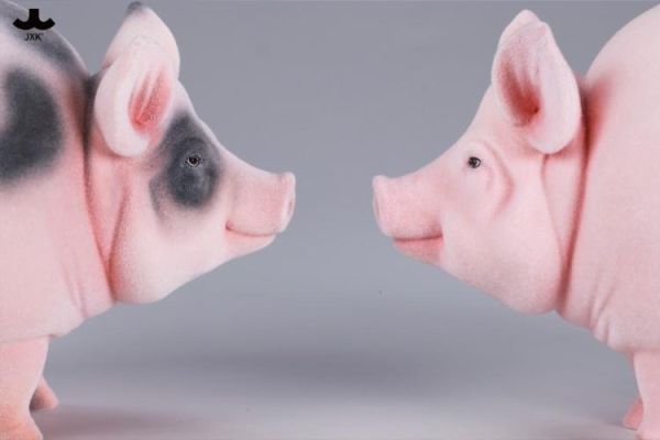 (預購) JXK Studio JXK343 動物公仔 圓滿豬 A 20260423 JXK Studio JXK343 動物公仔 圓滿豬 A