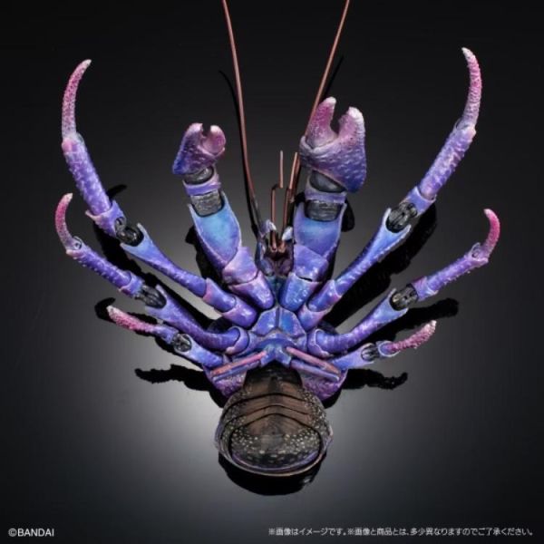 (預購) BANDAI 生物大圖鑑PREMIUM 椰子蟹 紫色 20260614 BANDAI 生物大圖鑑PREMIUM 椰子蟹 紫色