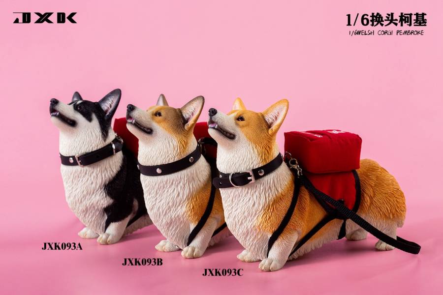 JXK 1/6 換頭柯基 動物系列 塗裝完成品 全3種 分別販售 JXK,1/6,換頭柯基,動物系列,塗裝完成品,全3種,分別販售,