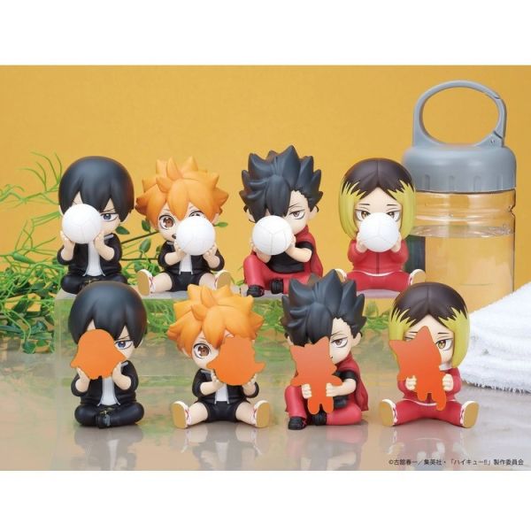 (預購) T-Arts 盒玩 排球少年 PERIHAPI!系列 捉迷藏公仔 全4+4隱藏款 一中盒8入販售 (預購) T-Arts 盒玩 排球少年 PERIHAPI!系列 捉迷藏公仔 全4+4隱藏款 一中盒8入販售