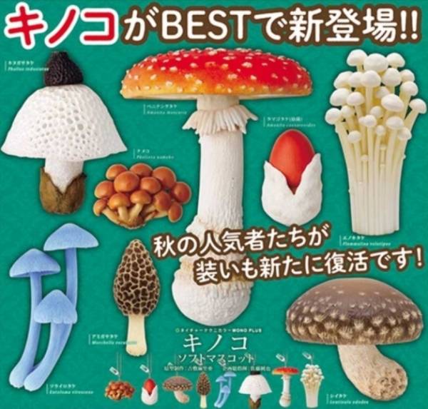 IKIMON 扭蛋 NTC 菇類軟軟吊飾 全8種 隨機5入販售 IKIMON,扭蛋,NTC,菇類軟軟吊飾,全8種,隨機5入販售,