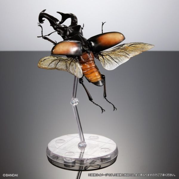 (預購) BANDAI 盒玩 生物大圖鑑 鍬形蟲02 附樹皮底座(中) 全4種 一套4入販售 (預購) BANDAI 盒玩 生物大圖鑑 鍬形蟲02 附樹皮底座(中) 全4種 一套4入販售