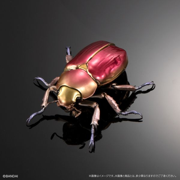 BANDAI 生物大圖鑑 展示套組 金龜子/彩虹鍬形蟲 全5種 一中盒販售 BANDAI 生物大圖鑑 展示套組 金龜子/彩虹鍬形蟲 全5種 一中盒販售