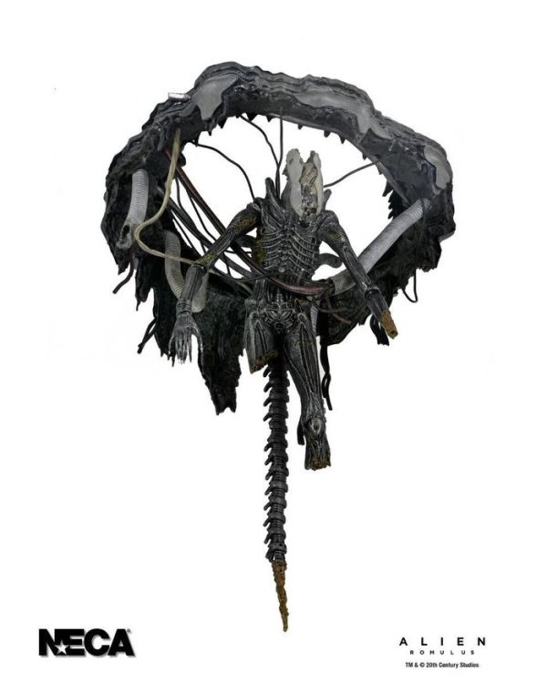 [豪華版] NECA 7吋 異形：羅穆路斯 Xenomorph XX121 實驗室懸吊 可動完成品 [豪華版] NECA 7吋 異形：羅穆路斯 Xenomorph XX121 實驗室懸吊 可動完成品