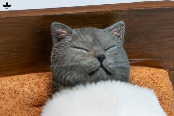 (預購) JXK&small2506 酣眠貓 A 20260326 JXK&small2506 酣眠貓 A