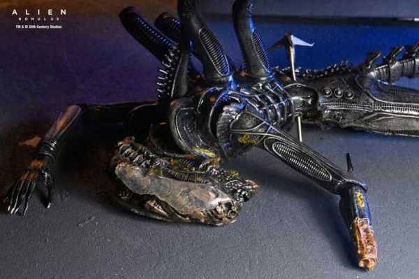 [豪華版] NECA 7吋 異形：羅穆路斯 Xenomorph XX121 實驗室懸吊 可動完成品 [豪華版] NECA 7吋 異形：羅穆路斯 Xenomorph XX121 實驗室懸吊 可動完成品