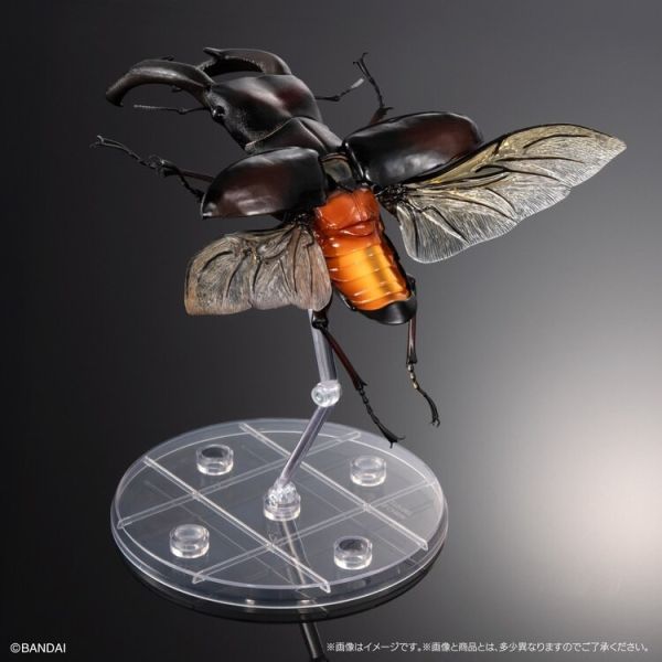 (預購) BANDAI 盒玩 生物大圖鑑PREMIUM 巨顎叉角鍬形蟲 紅 全1種 20260105 BANDAI 盒玩 生物大圖鑑PREMIUM 巨顎叉角鍬形蟲 紅 全1種