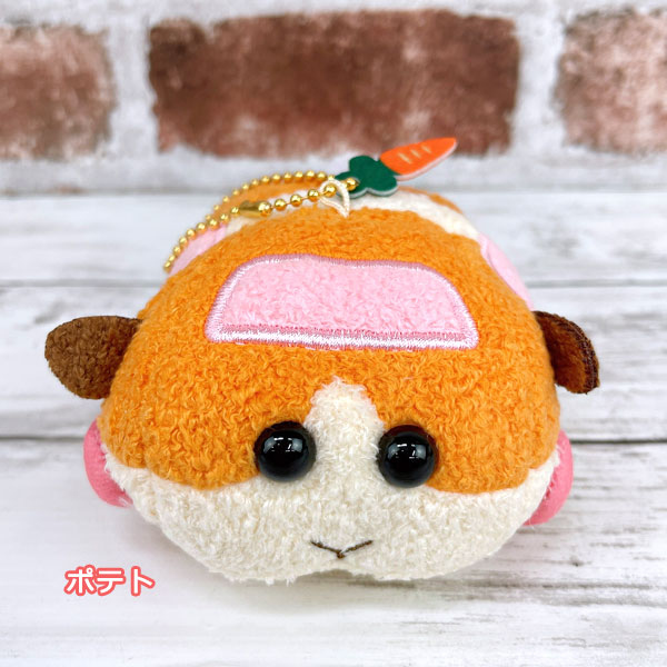 SunRise PUI PUI 天竺鼠車車 玩偶吊飾 全5種 個別販售 SunRise,PUI PUI,天竺鼠車車,玩偶吊飾,全5種,個別販售,
