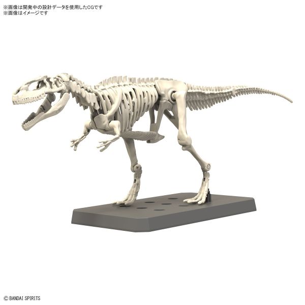 BANDAI 新恐龍組裝模型 07 南方巨獸龍 組裝模型 BANDAI 新恐龍 南方巨獸龍 組裝模型