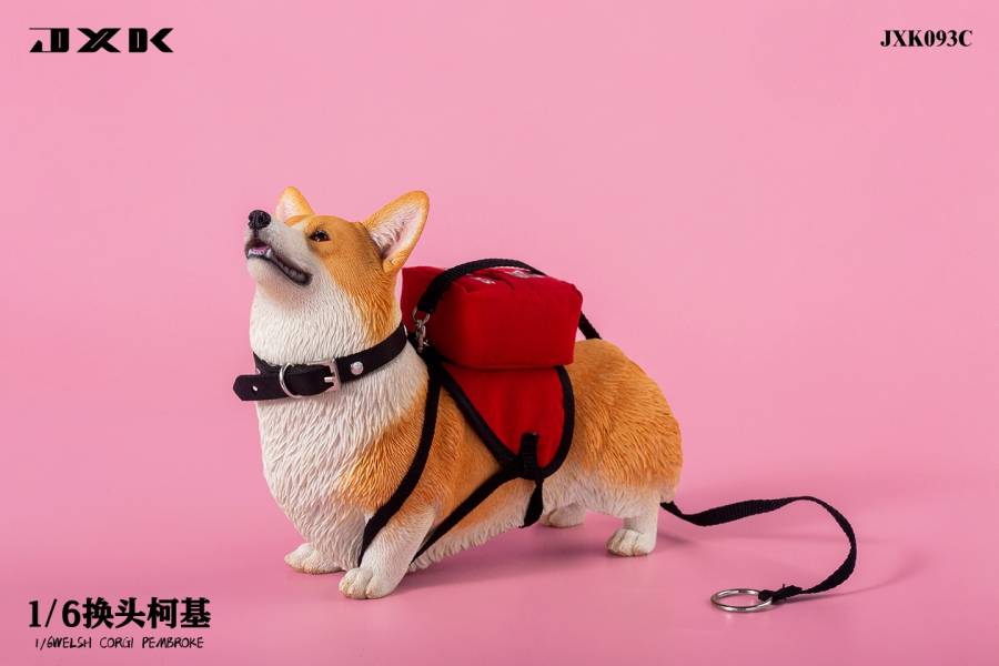 JXK 1/6 換頭柯基 動物系列 塗裝完成品 全3種 分別販售 JXK,1/6,換頭柯基,動物系列,塗裝完成品,全3種,分別販售,