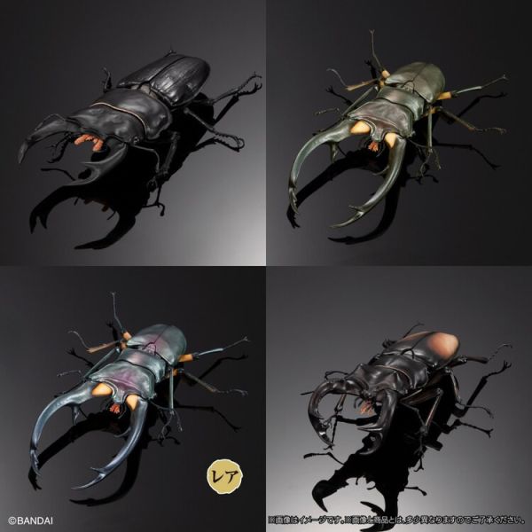 (預購) BANDAI 盒玩 生物大圖鑑 鍬形蟲02 附樹皮底座(中) 全4種 一套4入販售 (預購) BANDAI 盒玩 生物大圖鑑 鍬形蟲02 附樹皮底座(中) 全4種 一套4入販售