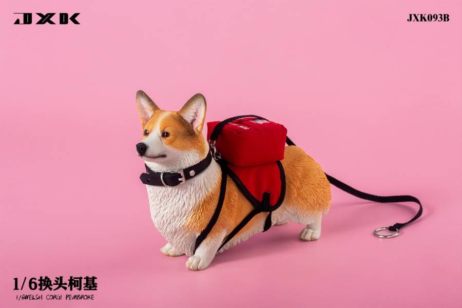 JXK 1/6 換頭柯基 動物系列 塗裝完成品 全3種 分別販售 JXK,1/6,換頭柯基,動物系列,塗裝完成品,全3種,分別販售,