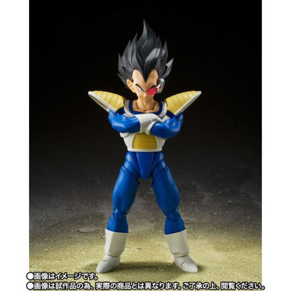 BANDAI S.H.Figuarts SHF 七龍珠Z 貝吉塔 達爾 24000的戰鬥力 BANDAI S.H.Figuarts SHF 七龍珠Z 貝吉塔 達爾 24000的戰鬥力